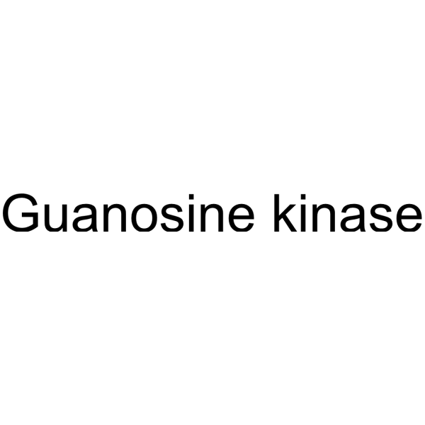 Guanosine kinase 55467-46-4